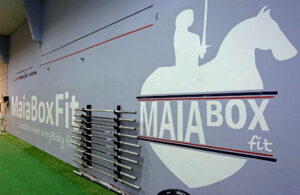 Instalacoes Acro Clube Da Maia26 300x195