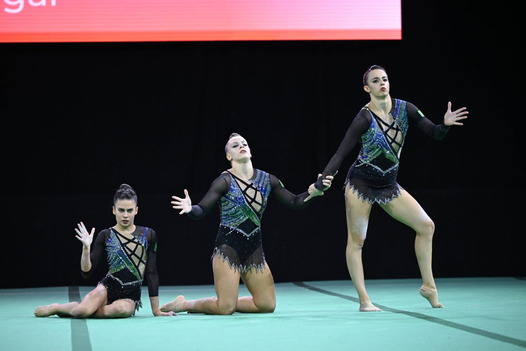 wchacro ftomasi 16278 por leonor ferreira olga oliveira beatriz ribeiro